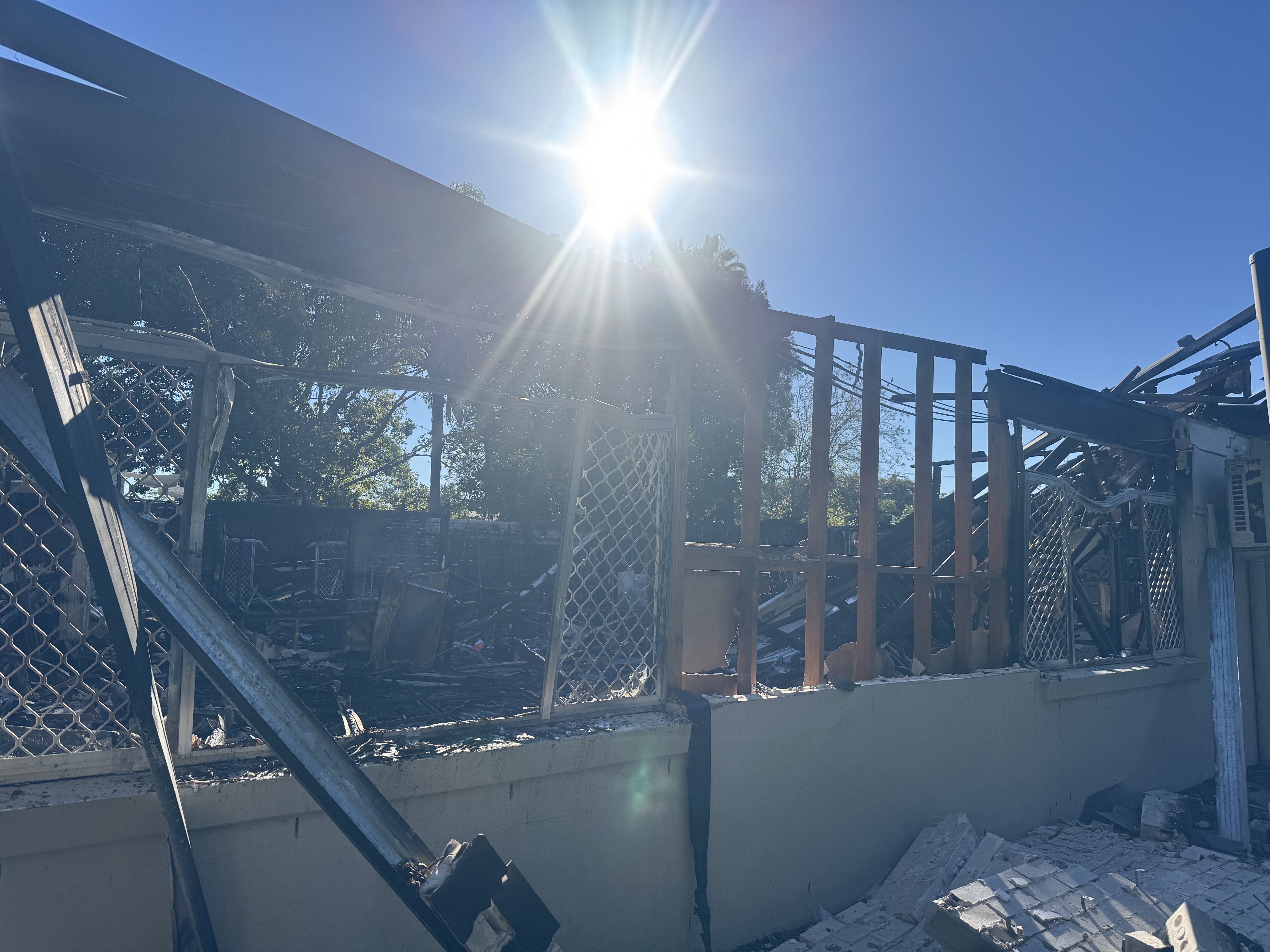 Supporting Treehouse Early Learning Centre: A Call to Unity for the Queensland ECEC Sector